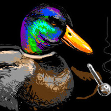 DuckOnQuack's avatar