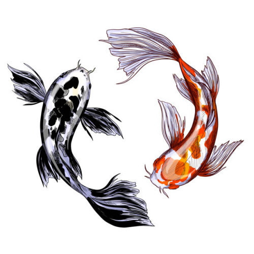 united_chumps's avatar