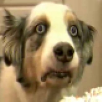 thatdag's avatar