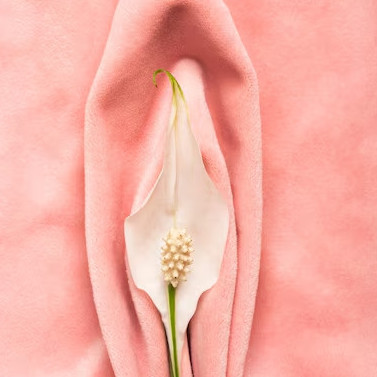 Emma_campbell's avatar